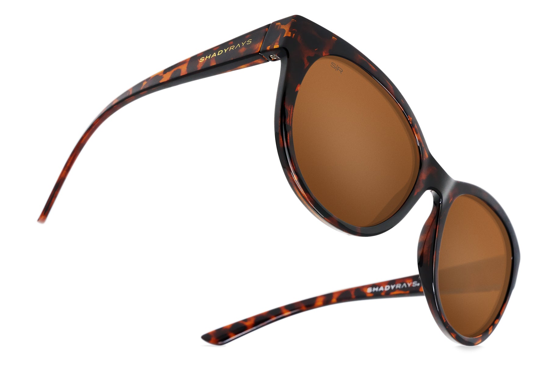 Lynx   Sable Tortoise Polarized
